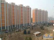 来北家园1室1厅南