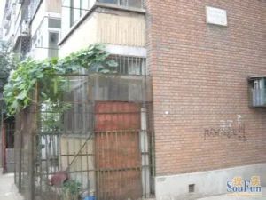 半壁店六建宿舍1室1厅南