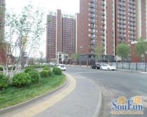 梧桐苑知秋园 3室2厅 南 北