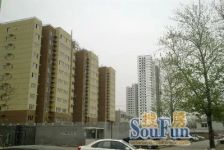 金隅泰和园3室1厅东南北