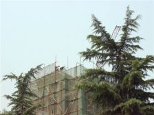 洋房顶复 观湖景 过二 全天采光 视野广