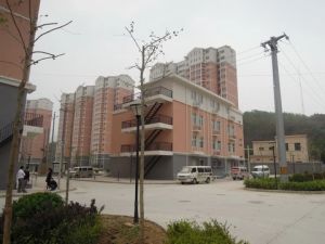 惠通新苑2室1厅南北