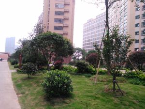 康乃馨拎包入住一室一厅居住舒适