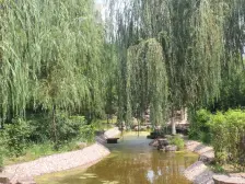 带阁楼 带露台 前排洋房全天采光 拎包入住