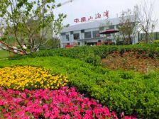 中南山海湾 一楼加二楼加地下加花园 嘎嘎好看房有钥匙