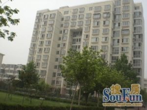信息大厦2室2厅南