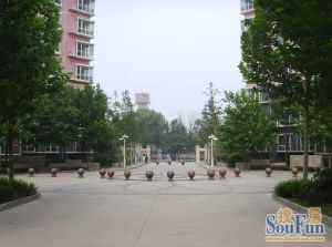 天元三居室中高层视野采光好