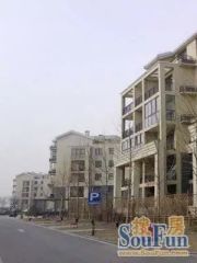 美林新东城板楼自住两居满五唯一