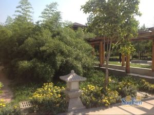 此房户型方正正南正北,花园300平,房子属于双拼类。