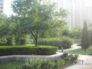 普罗旺斯满五唯一复试景观房视野好随时可以看