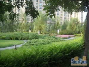 满五唯一,省个税。目前空置,看房方便。业主诚意出售