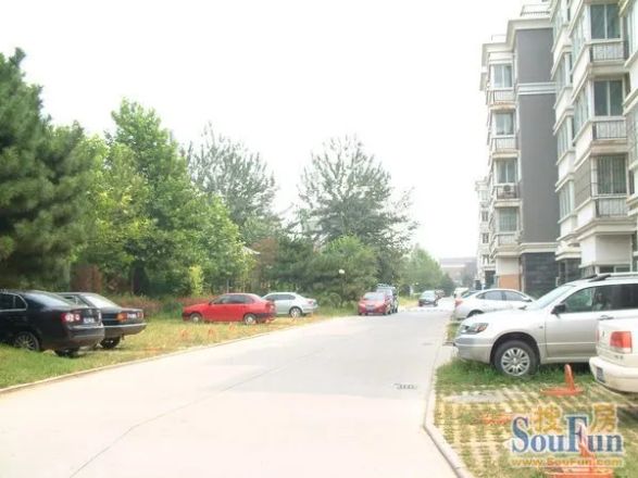 玫瑰家园实景图