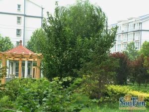 新中街繁华地段两居,南北通透,楼层适中,出行方便