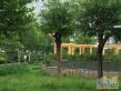 玫瑰家园实景图