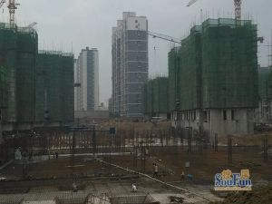 房本满二年南北通透两居室前后双阳台采光好户型好