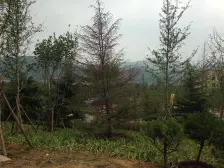 西山湖 天然氧吧 精装两室 五明户型