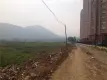 凤凰郡活动现场
