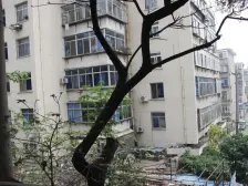 海景山庄双拼别墅 院大 诚意卖 价格可谈