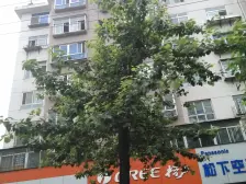 芝罘 文化路 2室1厅