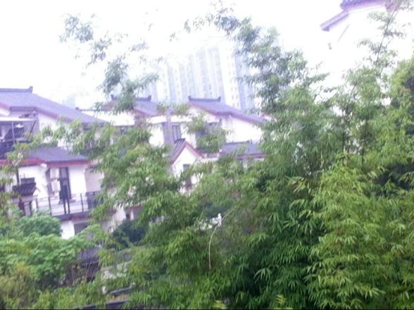 星语林·汀湘十里实景图