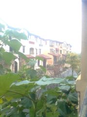 墅区优质房水映加州依云郡视野开阔位置安静