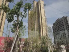 精装修未住 电梯房 高层视野采光好,大三居,南北通透