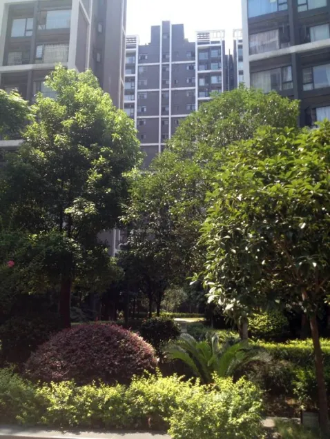 幸福里润城高层南北通4房豪华装修拎包入住安静 配套齐全