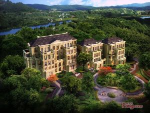 万科云溪独栋边户户型方正采光视野好