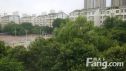龙泰小区实景图