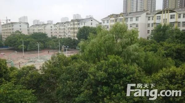 龙泰小区实景图