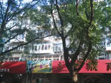 奇山东街,朝南一室一厅,南卧室挺大带阳台