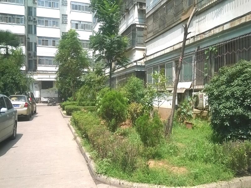 小区相关图