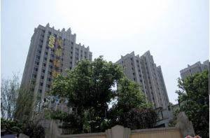 小高层南北通透装修好可拎包入住枫树山大桥