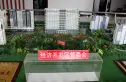 中科印象实景图