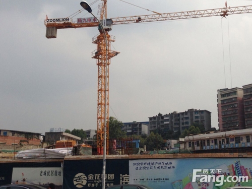 金龙滨河湾壹号实景图项目正在施工的塔吊（2014-08-25）