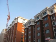 新大陆花园只楚路旁采光充足看房方便