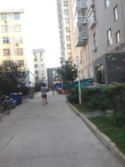 太康新苑2室1厅南