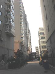 太康新苑 3室2厅 东南