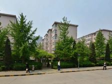 五跃六层带七层,带大平台,六室两卫,适合大家庭居住