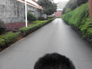 11层电梯房宜居舒适喜盈门商圈