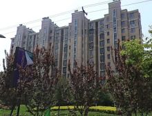 华商清水湾西区 2室1厅 南