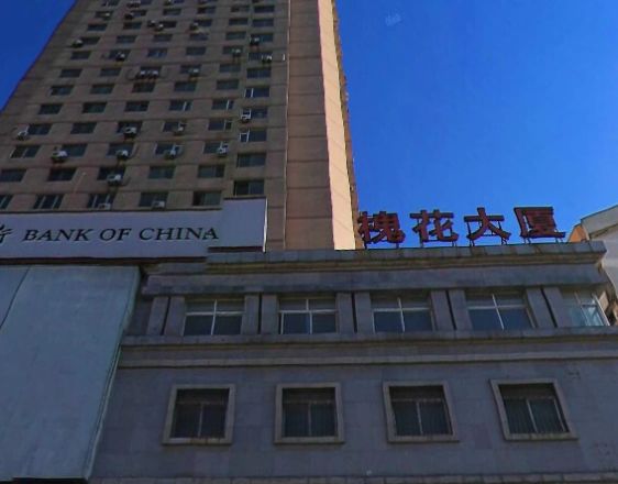 槐花大厦实景图