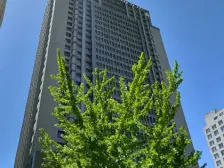 金丰大厦金马路1室视野好看房随时