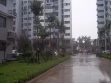 泺祥新区 2室2厅 南 北