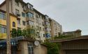 育慧街实景图