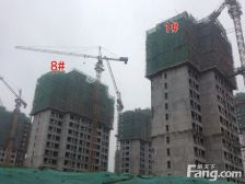 精装修,小高层,采光全天无遮挡户型方正