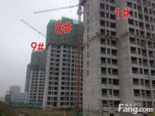 新上好房 边户 精装自住 3期 南边无遮挡