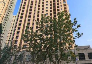 高新园区小户型精装修一室一厅