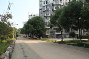 好家园3室2厅南