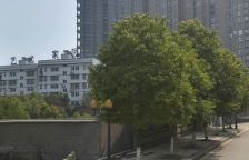 黎明艺术家园3室1厅南北